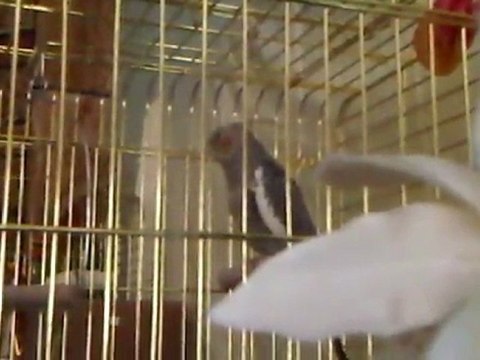 VID 00020-20120113-1548