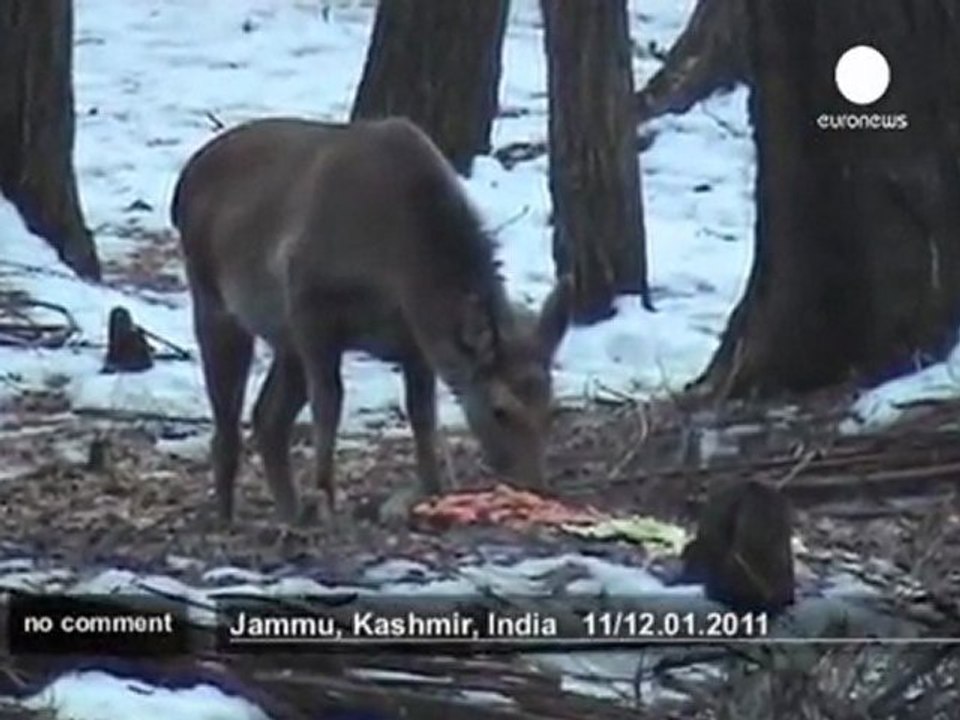 Kashmir Valley under snow - no comment