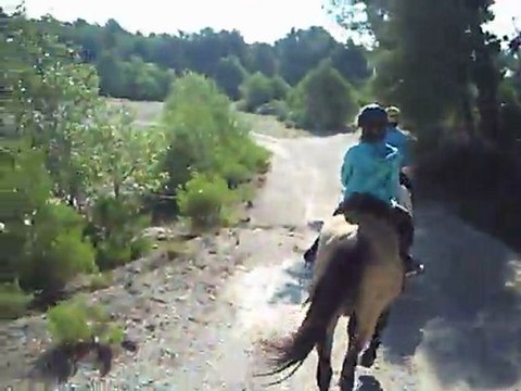 sixtine cheval alpilles2