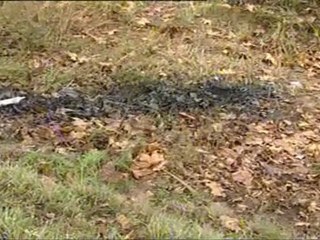 incidenti maglia nera alla marca