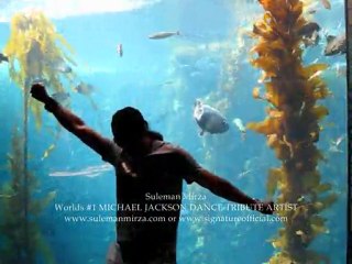 Suleman Mirza (SIGNATURE) - Aquarium Dance Michael Jackson Style