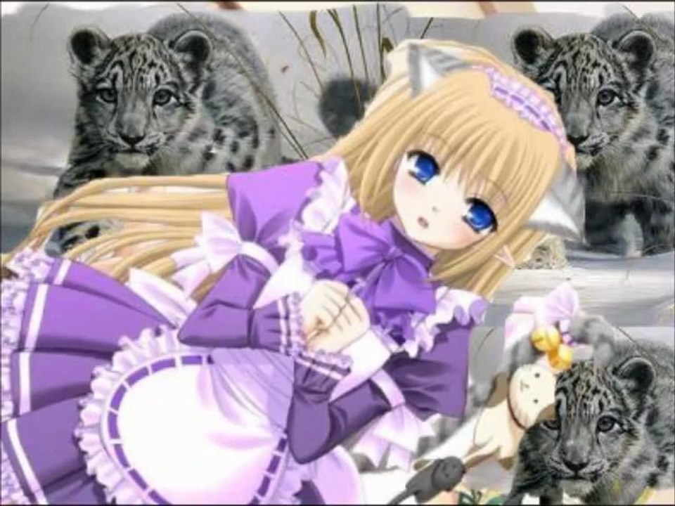 chapitre 11: les nouvelles dynami mew