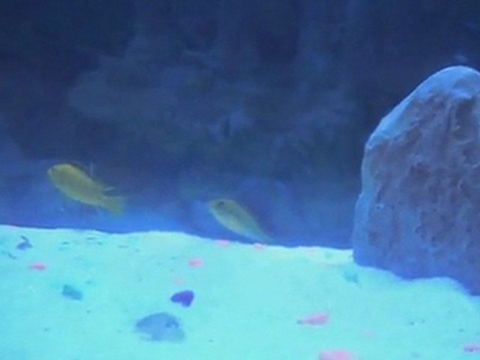DSCN2664