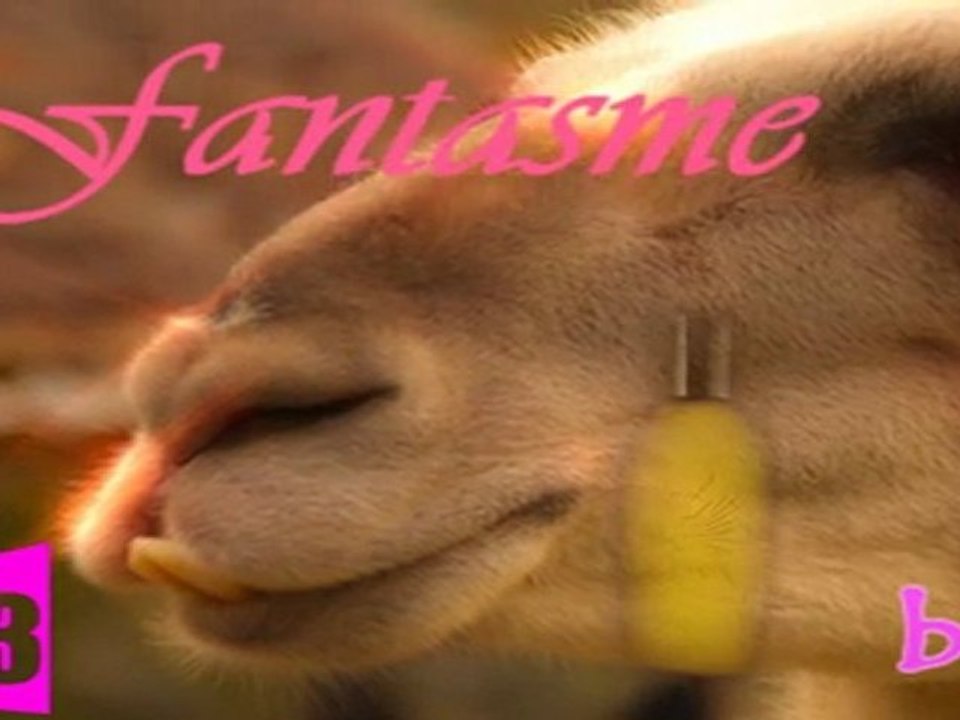 'Da PSY Corp. SHOW, Part II' - PSY Corporation - 2011