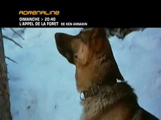 l'appel de la forêt - Bande annonce