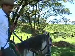 1_HACIENDA EL JORDAN Enero 14 de 2012