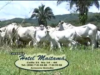 3_HACIENDA EL JORDAN Enero 14 de 2012