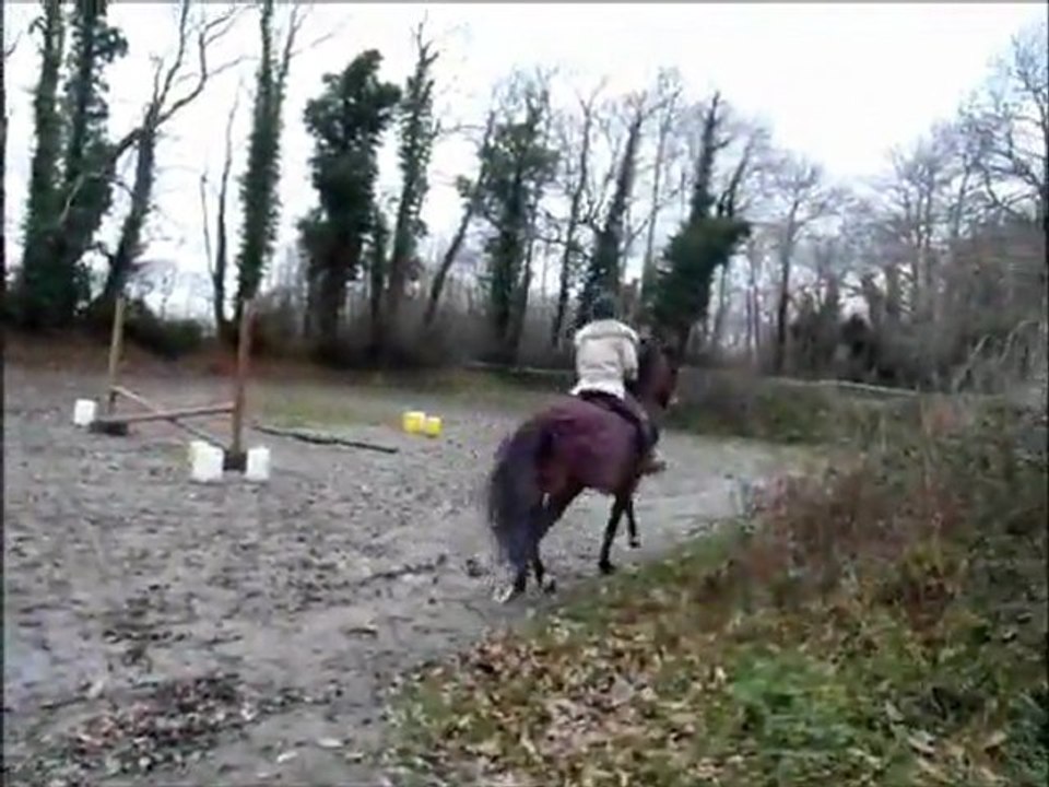 séance du 10 janvier 2012