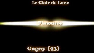 Pimousse - Soirée de sélections du championnat d'île-de-France de karaoké à Le Claire de Lune (Gagny, 93) - Interprêtation de Pimousse
