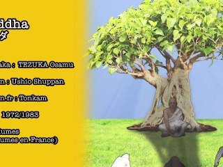 Raconte-Moi Un Manga 18 - Buddha