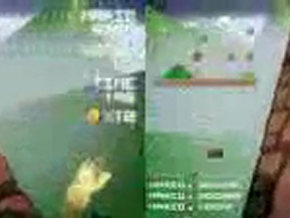 3D First Person Mario