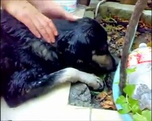 YİNE ZEHİRLEME !! KATİLLERİ TANIYORUZ!!