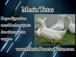 Mesin Tetas Murah