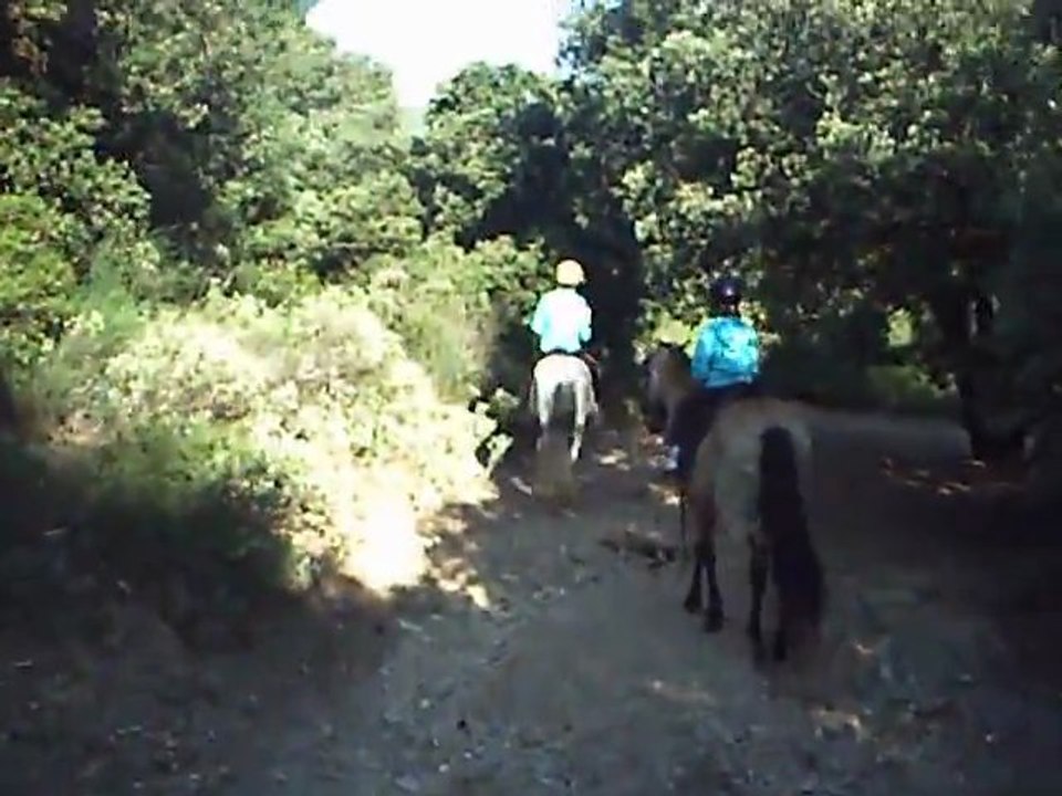 sixtine promenade cheval