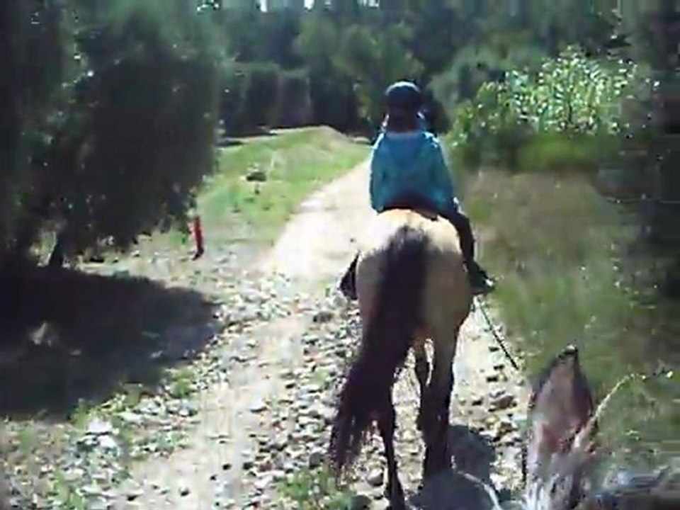 sixtine promenade cheval alpilles 3