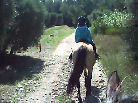 sixtine promenade cheval alpilles 3