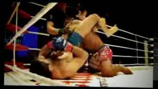 UFC 142: - Edinaldo Oliveira vs Gabriel Gonzaga at HSBC Arena