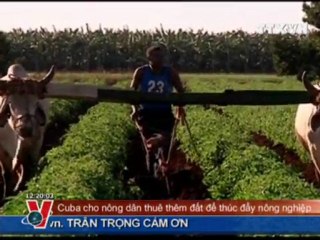 THỜI SỰ 12H 09.01.2012 CLIP 2/2, TTXVN, VNEWS, VNA, TRUYỀN HÌNH THÔNG TẤN, TTXVN