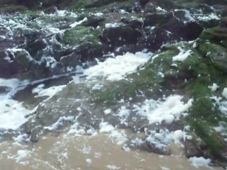 Ne pas confondre eole et pandore