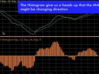 How To Trade Like The Pro Using MACD Technical Analysis
