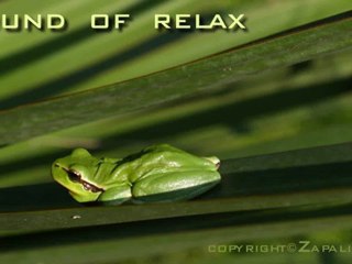 Musique de relaxation-original Sound  track-Meditation and Sleep Music-Bien dormir-Orage pluie