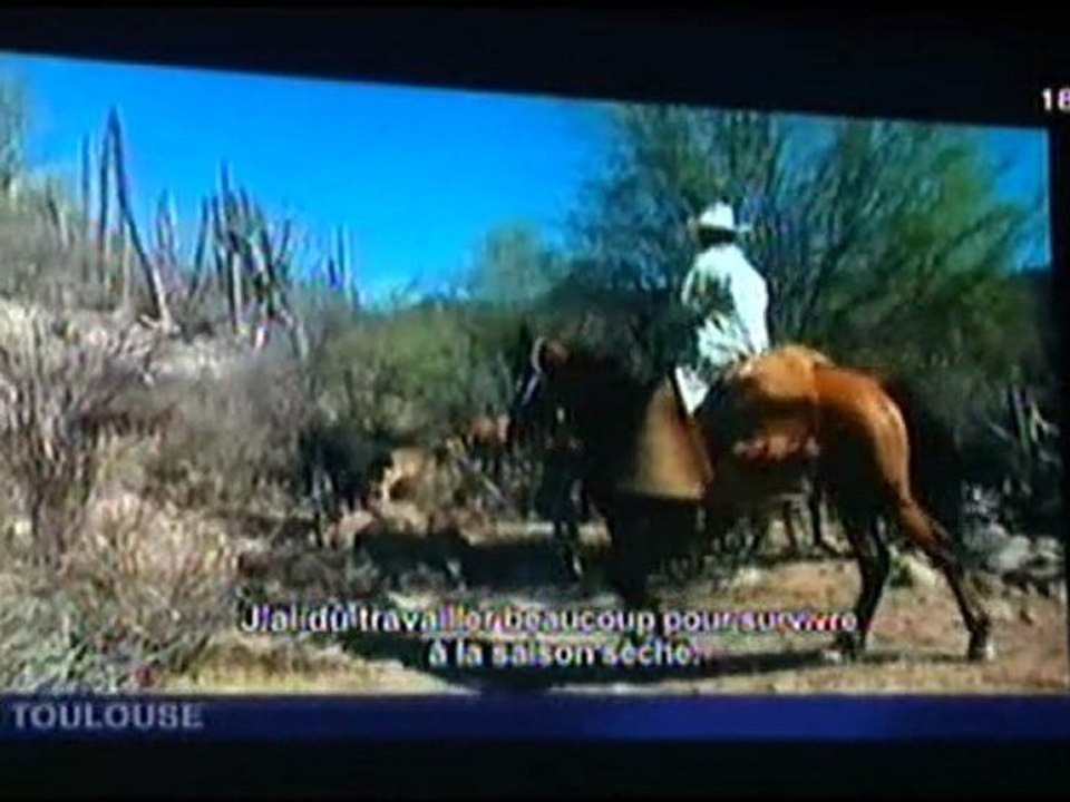 France 3 Tarn, 24 Mars 2011, 18h40