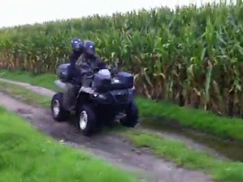 Rückblicke und Erinnerungen 2011