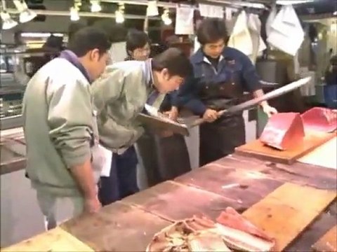 Japan Tsukiji Market　築地、魚市場　１ TV BEGIN Japanology ≪English≫〔Japanese culture〕
