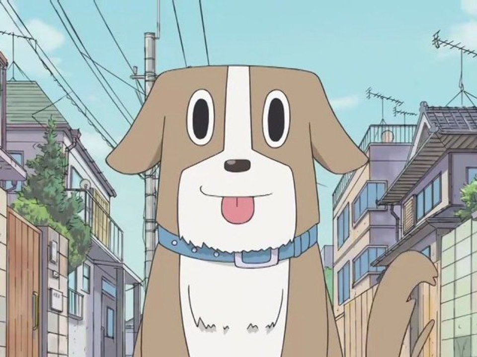 Une histoire de chiens