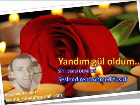 ahmed yusuf - yandım gül oldum (senai demirci)