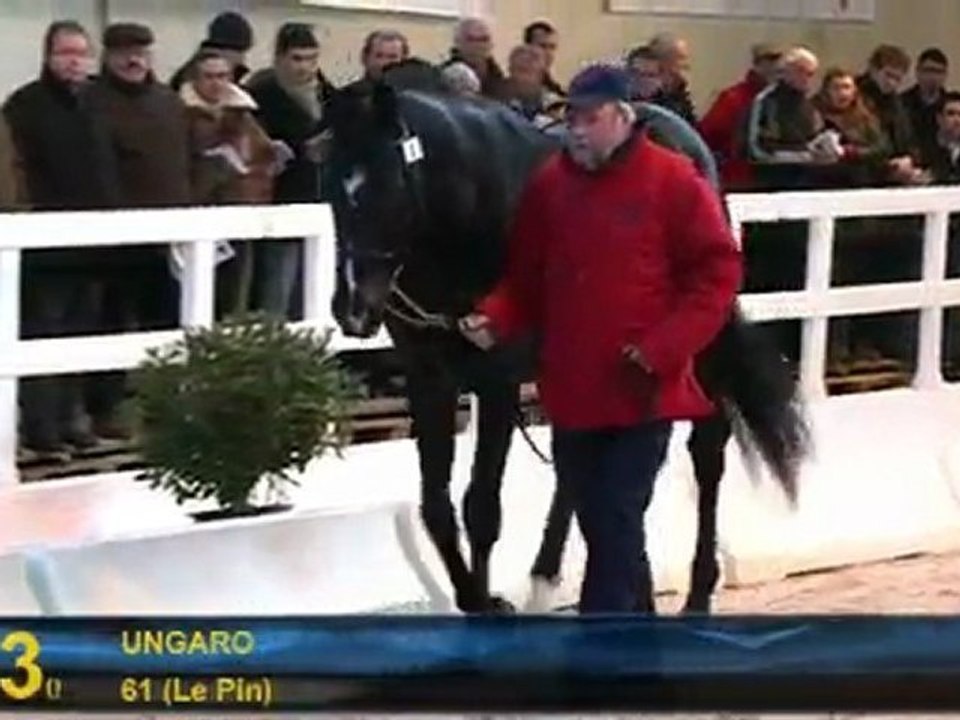 UNGARO