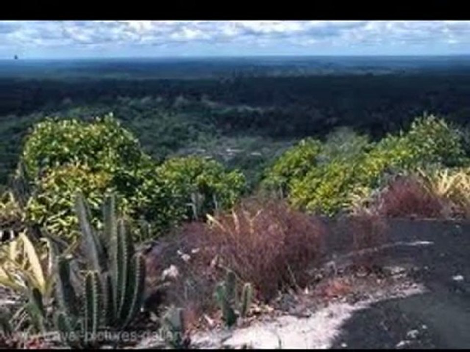 Suriname Hotel, Hostel, Tour, Ticket by www.HotelWorld.co