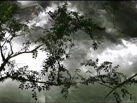 Video de Relaxation -Bien être et méditation- musique Zen yoga massage