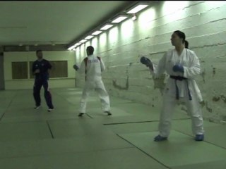 Karate1 Paris 2012 - Derniers instants avant la finale...