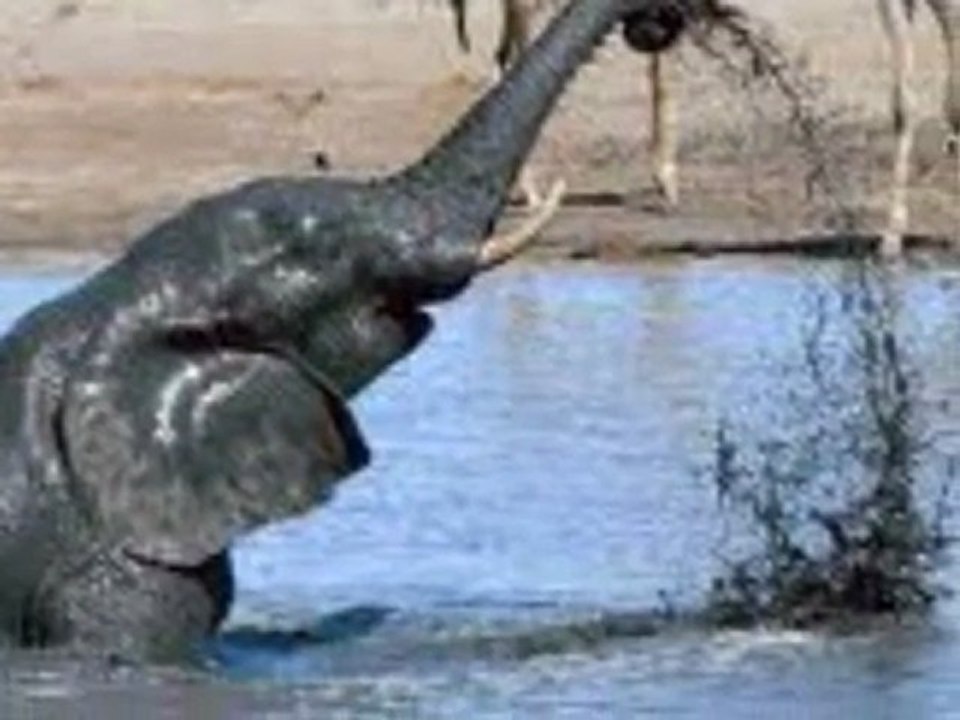 Zimbabwe Hotel, Hostel, Tour, Ticket by www.HotelWorld.co