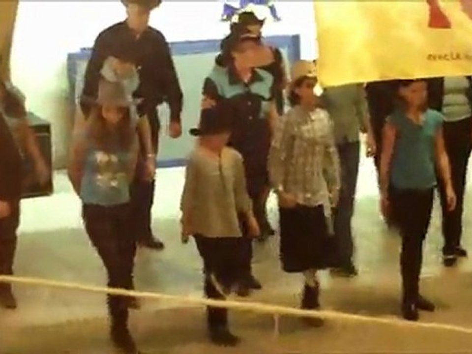 telethon 2011