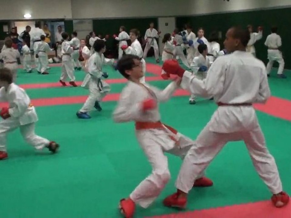 Karate - stage kumité du 14 janvier 2012