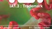 Trademark - Altered States - Intelligent Audio