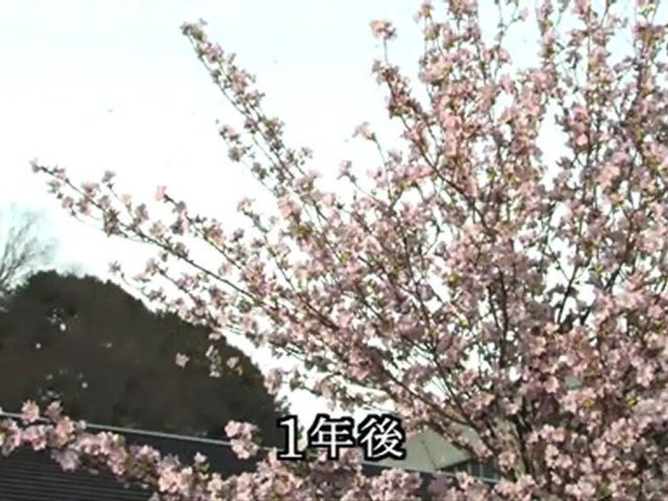 綾瀬はるか 冬空に月は輝く　4
