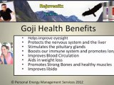 Goji, information/Facts/Research/Health Benefits And How To Benefit/Get More Energy/Gain Vitality From Rejuveniix