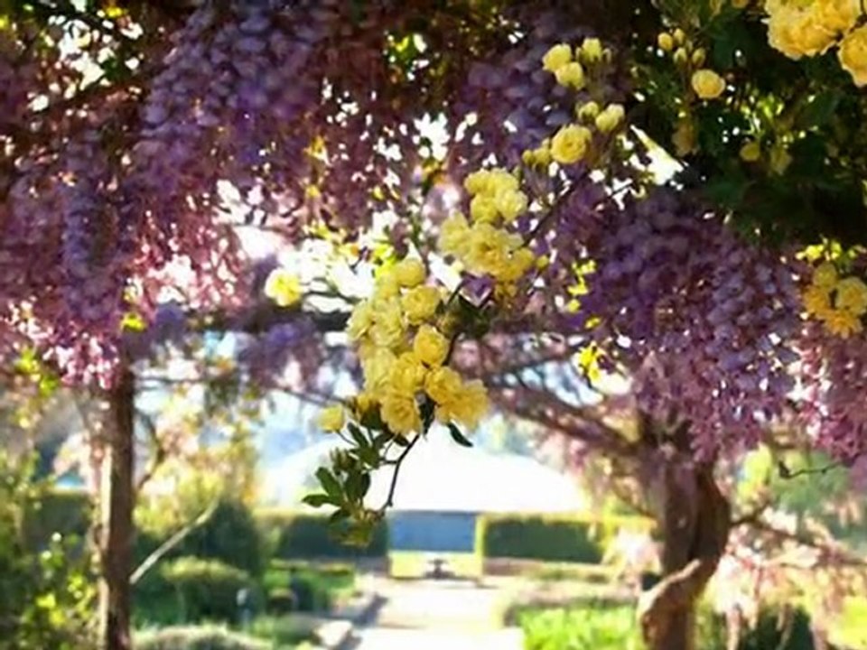 Ercan Turgut - Hayat sen ne cabuk harcadin beni