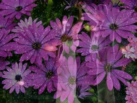 Hakki Bulut - iste o benim