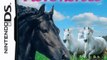 I LOVE HORSES NDS DS Rom Download (EUR)