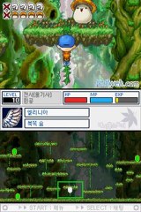 MAPLESTORY NDS DS Rom Download (JAPAN)
