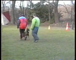 Eaunyx de Kerprigent le 13 Janvier 2012 H.A Franck Roose