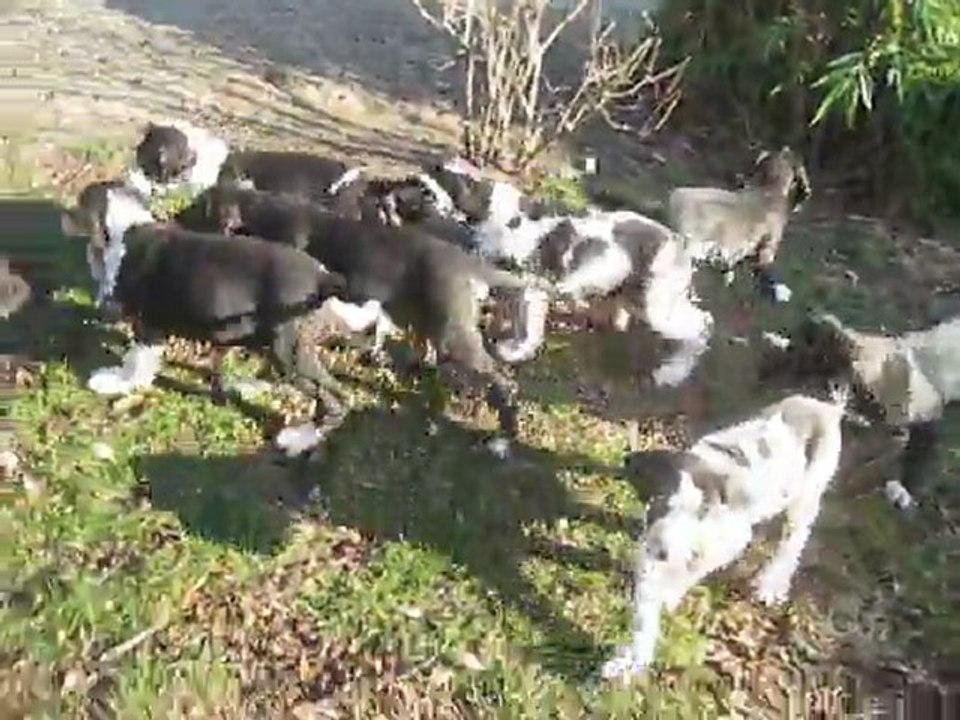11 janvier 2012 004