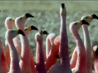 Jean Ferrat - Restera t'il un chant d'oiseau?