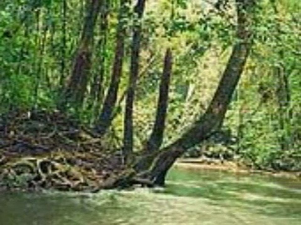 Gabon Hotel Reservation by www.HotelWorld.co