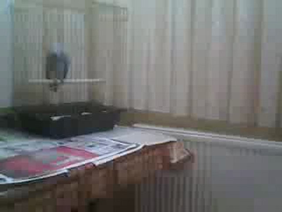 Jakocum
