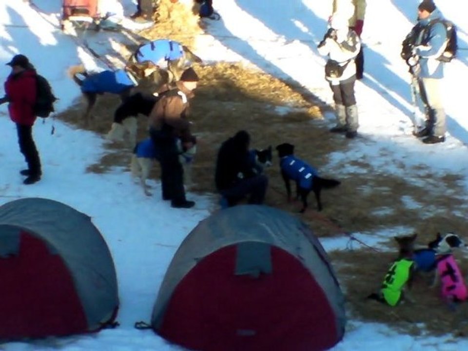 La Grande Odyssée savoie Mont Blanc 2012 Etape Base polaire au matin